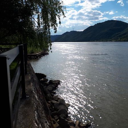Dedin Raj Villa Голубац Екстериор снимка